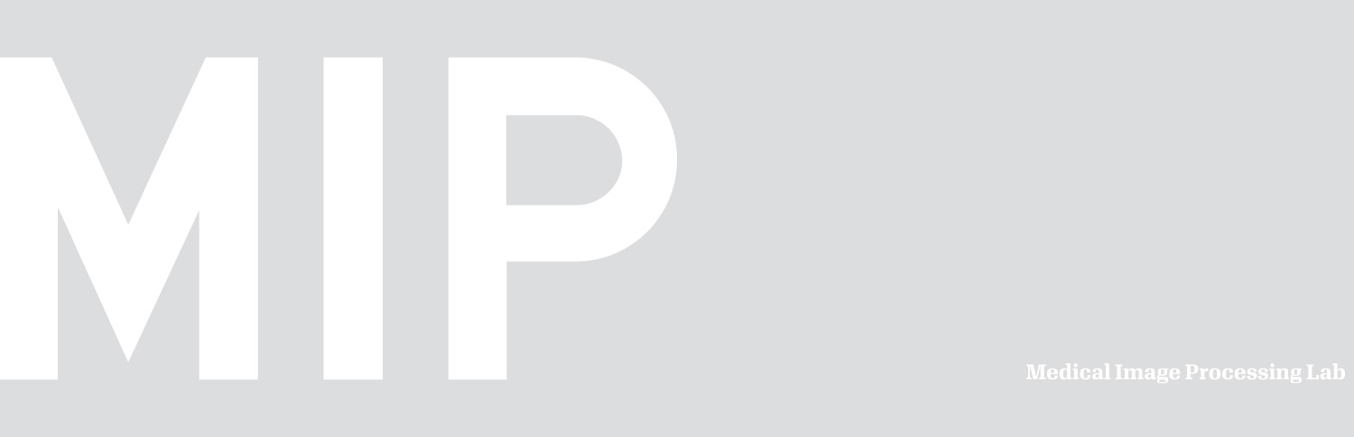 MIP_VS_02